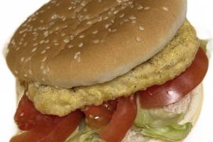 Chicken Burger 